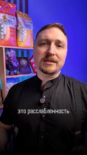 Новогодние собаки-убегаки - главная ошибка владельцев в праздники #собака #новыйгод #кашадлясобак