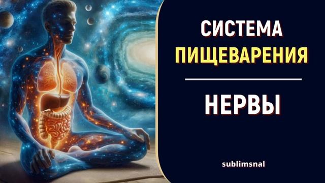 Оздоровление Системы Пищеварения и Нервов*Подсознательные Внушения для ЖКТ* Скрытый Настрой Сытина смотреть онлайн