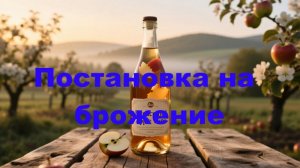 Яблочное вино. Часть 2. Постановка на брожение!
