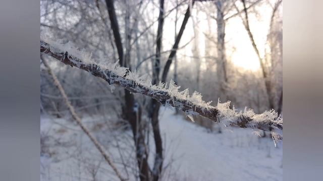 После дождя...