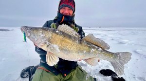 ЭТО ЖЕСТЬ! ОГРОМНЫЕ СУДАКИ НА ВИБЫ И БАЛАНСИРЫ СО ЛЬДА, ВОЛГА ЩЕДРА