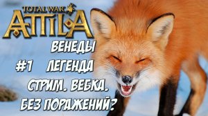 (1) Венеды. Attila Total War. Стрим.