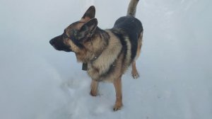 Дневник за 28 декабря: когда все дома