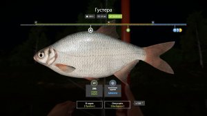 Русская Рыбалка 4-Новогодние Задания 2026: Густера не менее 500 грамм на маховое удилище р. Вьюнок