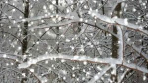 Снег кружится .