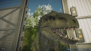 Сборники мультиков про Динозавров. Индоминус Рэкс. Транозавр Рэкс. Динозавры.