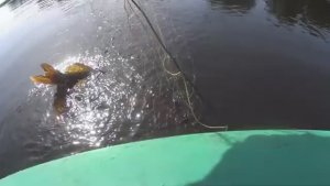 Рыбалка с резиновой лодки.Вытащил из ямы щуку в деревне.