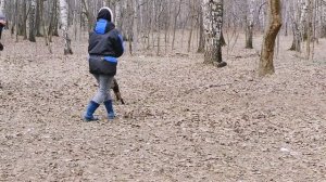 Где можно купить щенка добермана? О выборе, который определяет характер будущего питомца.