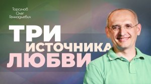 Три способа забыть боль (Торсунов О. Г.)