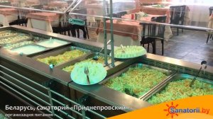 Санаторий Приднепровский - организация питания, Санат