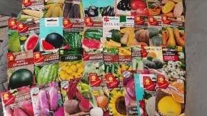 Очень много семян на 2026 год от Светланы для урожайного огорода в деревне!