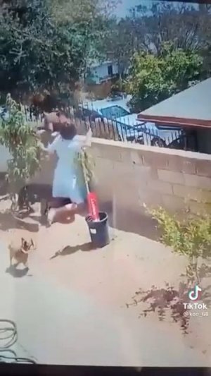 с такой один на один лучше не выходить