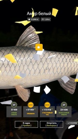 Амур белый трофей на медвежке #рр4