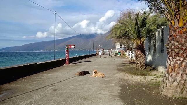 К МАГАЗИНУ смотреть онлайн