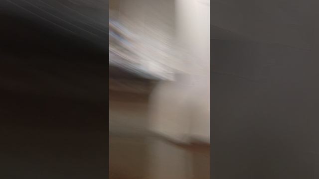 Рунтур по Мишей халупе смотреть онлайн