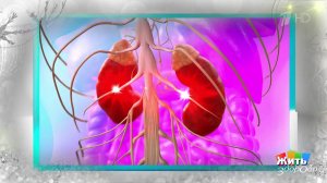 Почечная колика: что делать, пока не приехала скорая. Жить здорово! Фрагмент выпуска от 29.12.2025