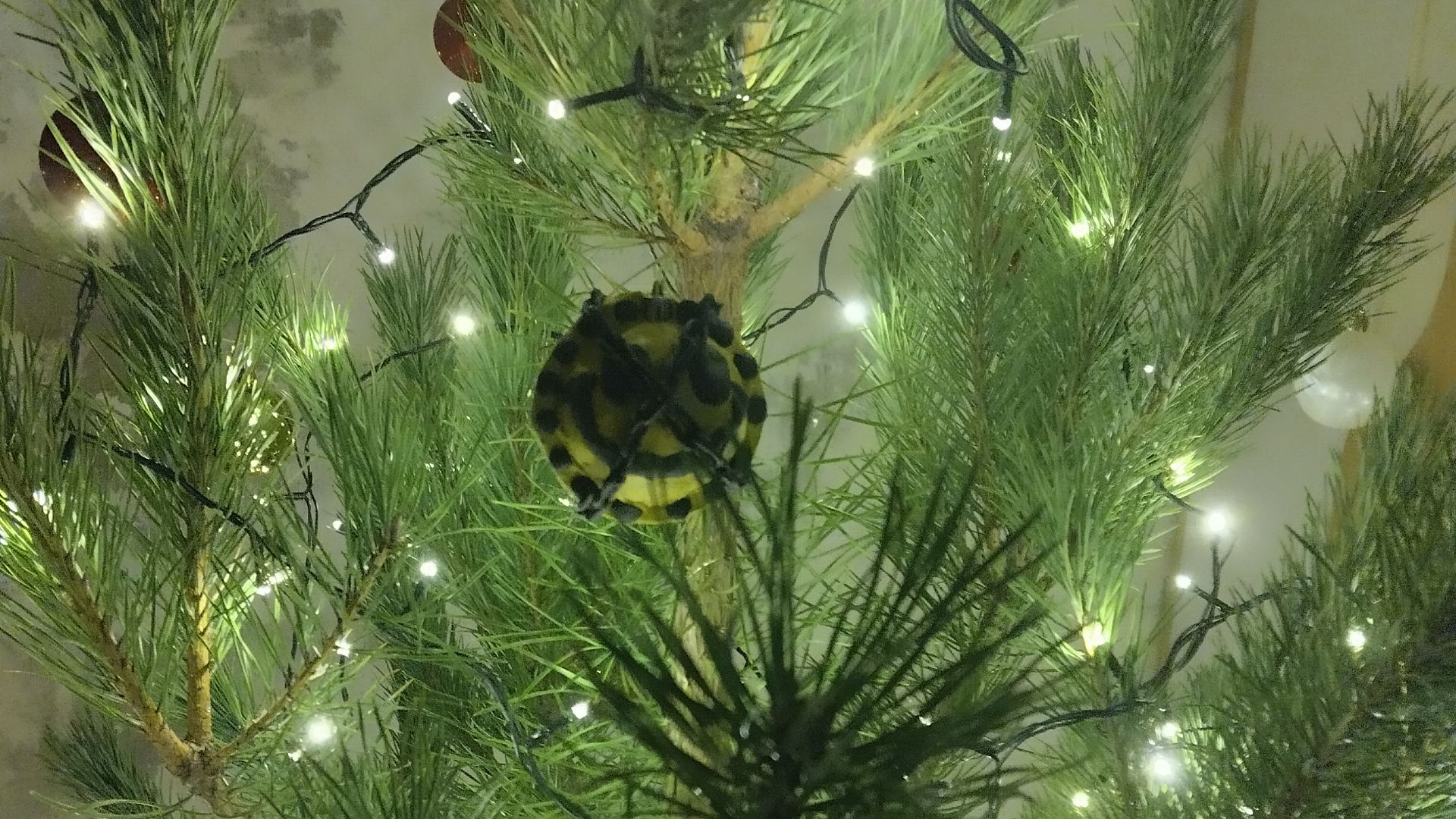 Поздравляю подписчиков с новым годом