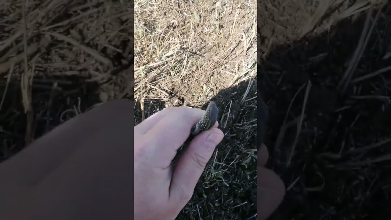 Прораб земельных работ смотреть онлайн