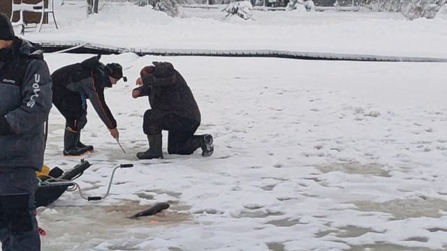 Вип зона. смотреть онлайн
