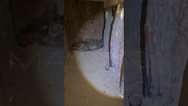 ❗Опорник противника изнутри. Район взятого Гуляйполя смотреть онлайн