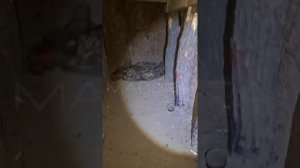 ❗Опорник противника изнутри. Район взятого Гуляйполя