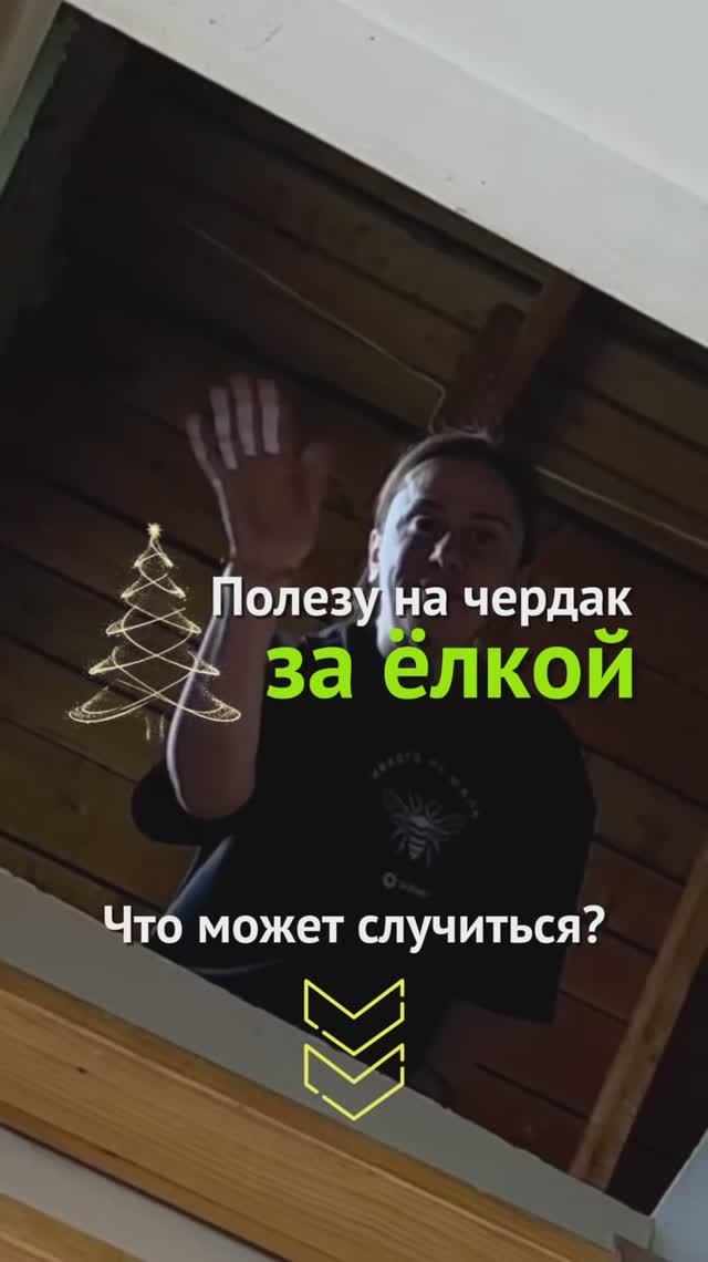 Полезу на чердак за ёлкой. Что может случиться? #новыйгод #пшб #иринабаранова