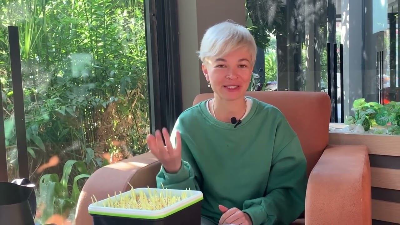 Урок 7. Полив, плесень, мухи смотреть онлайн