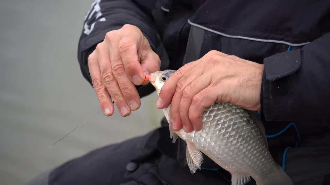 Рыбалка авантюра! Карась на флэт зимой! Рыбалка с Владимиром Павлищевым смотреть онлайн