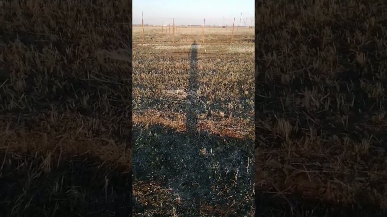 Стройка 2023 смотреть онлайн