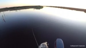 Перепробовал кучу приманок. Самый жор был на закате.