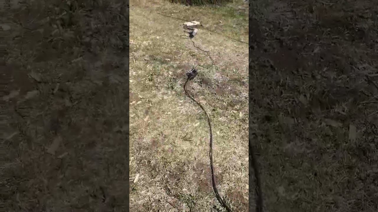 Пока нет электричества смотреть онлайн