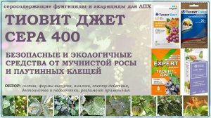 Тиовит Джет и Сера400 - безопасные и экологичные средства от мучнистой росы и клещей. Обзор 2026г.