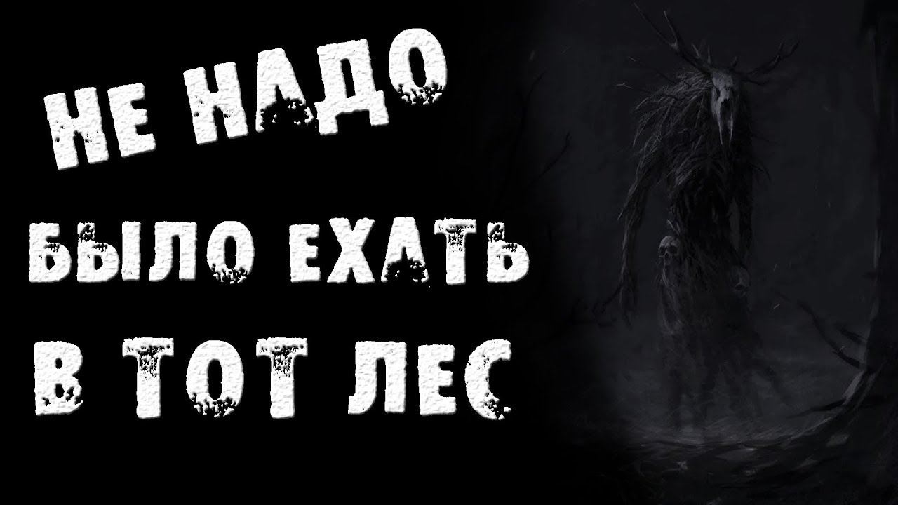 СТРАШНЫЕ ИСТОРИИ - НЕ НАДО БЫЛО ЕХАТЬ В ТОТ ЛЕС - СТРАШИЛКИ НА НОЧЬ смотреть онлайн
