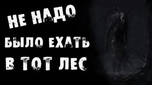 СТРАШНЫЕ ИСТОРИИ - НЕ НАДО БЫЛО ЕХАТЬ В ТОТ ЛЕС - СТРАШИЛКИ НА НОЧЬ