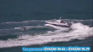 видеоролик