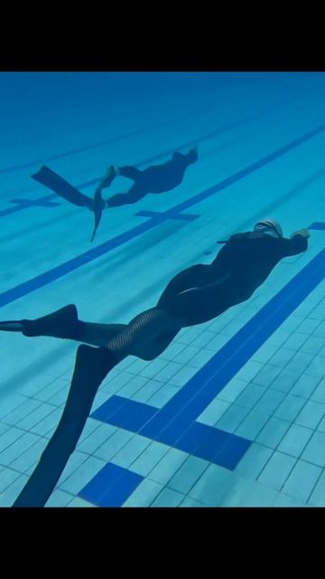 Международный, Всероссийские соревновпния по АПНОЭ, фридайвинг 13-16.11.2025