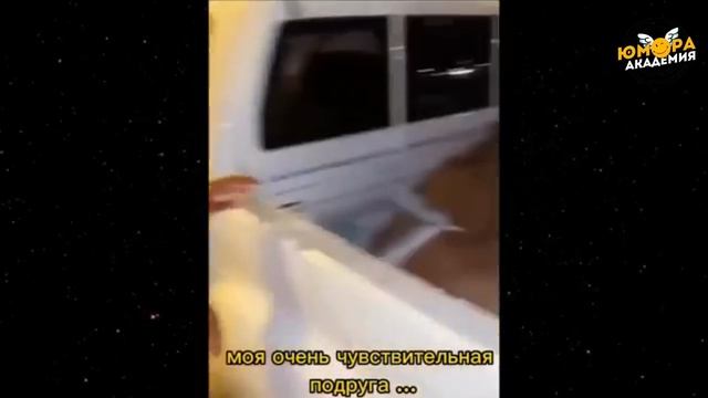 #103 Я РЖАЛ ДО СЛЕЗ 😂 ПОДНИМИ СЕБЕ НАСТРОЕНИЕ😆😆😆ЛУЧШИЕ ЛЮТЫЕ ПРИКОЛЫ / АКАДЕМИЯ ЮМОРА смотреть онлайн