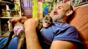 Хоть как я заигрывай к Анфисе, а она все равно только к Владу ластится как кошка)))