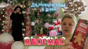 ВЛОГМАС/ ДО НОВОГО ГОДА 6 дней/