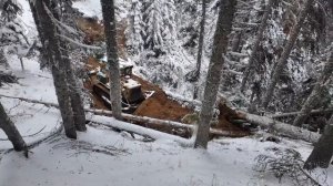 Бульдозер CAT D7 — Зимняя работа, Часть 1.