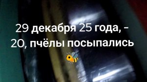29 декабря 25 года, первые потери пчёл 🐝 после 20 градусов мороза 🎅.