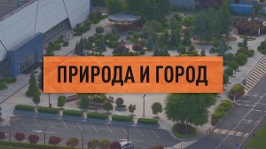 Природа и город