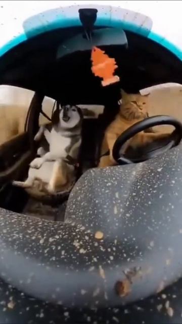 гонщики смотреть онлайн