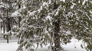 ПОЕЗД В ЗИМУ ДАЛЬШЕ ОТПРАВЛЯЕТСЯ...СЛЕДУЮЩАЯ СТАНЦИЯ- ЯНВАРЬ!!!