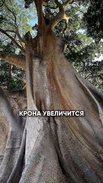 Урок по силе воли от природы #самодисциплина #никитажабуркин смотреть онлайн