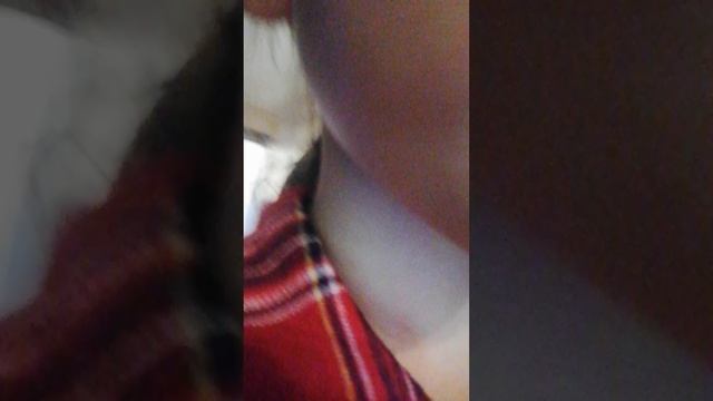 VID_20251229_14110 смотреть онлайн