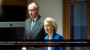 Дмитриев: сторонники войны запаниковали после разговора Путина и Трампа