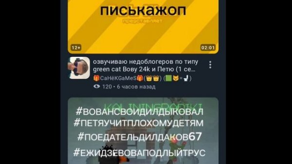 разоблачение на Санек геймс (нет)