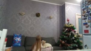 собачка с собачкой.