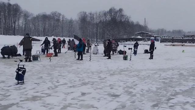 Обзор поимок на зарыблении. смотреть онлайн